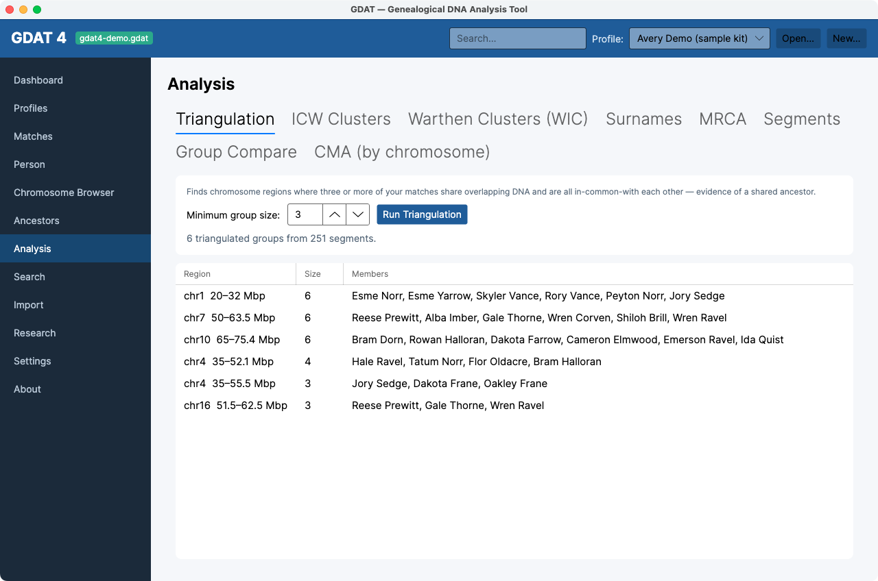 The Analysis workspace — the eight tabs, with Triangulation results shown.